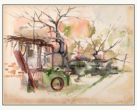 The Old Cherry Tree