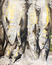 Spanish Mackerel on Ice